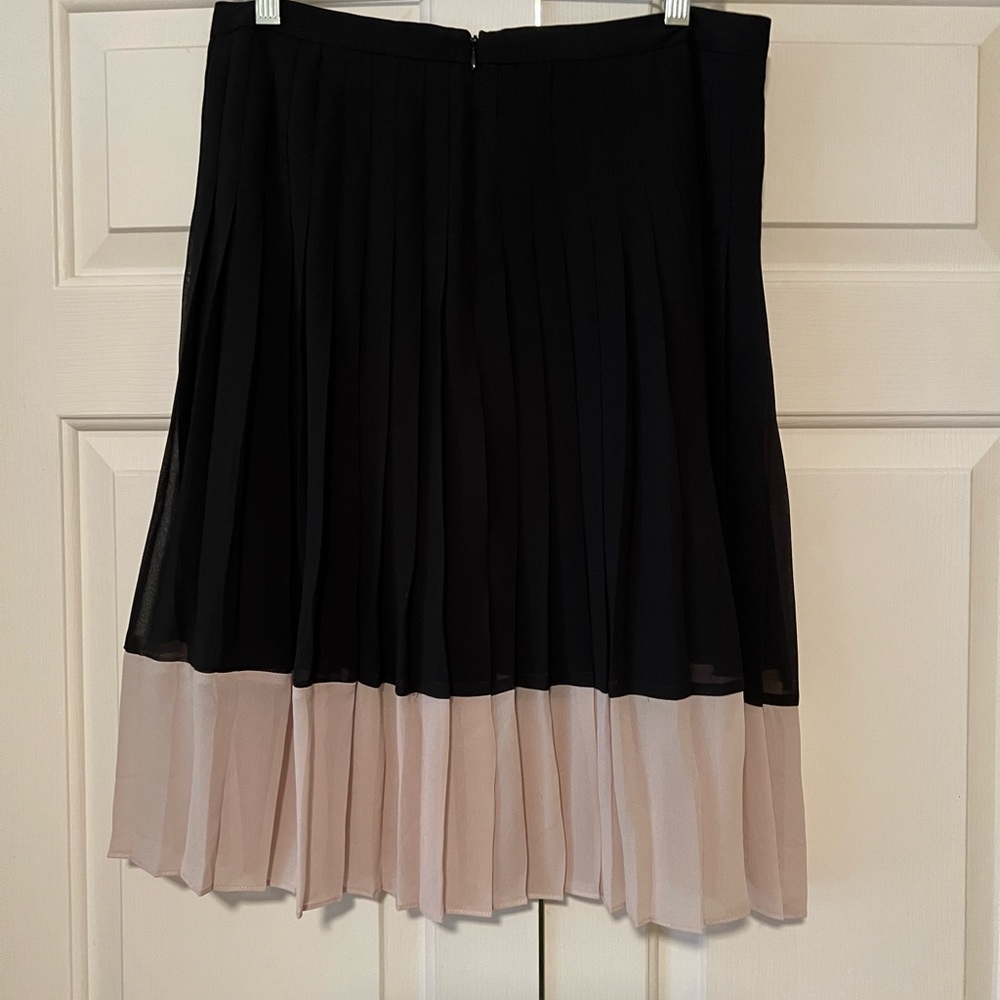 A pleaded Ann Taylor skirt